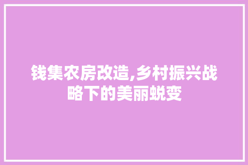 钱集农房改造,乡村振兴战略下的美丽蜕变 景观设计