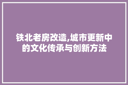 铁北老房改造,城市更新中的文化传承与创新方法