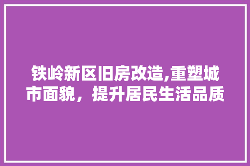 铁岭新区旧房改造,重塑城市面貌，提升居民生活品质 装修材料