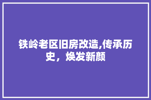 铁岭老区旧房改造,传承历史，焕发新颜