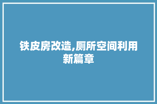 铁皮房改造,厕所空间利用新篇章