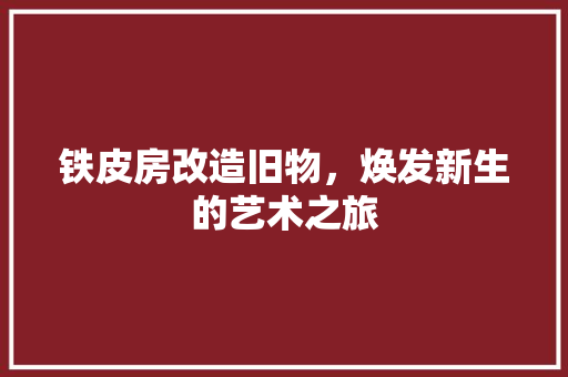 铁皮房改造旧物，焕发新生的艺术之旅 景观设计