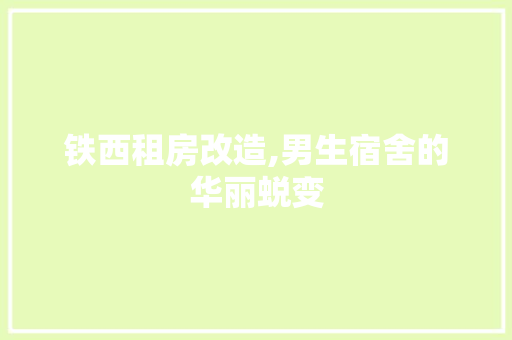 铁西租房改造,男生宿舍的华丽蜕变 隔断设计