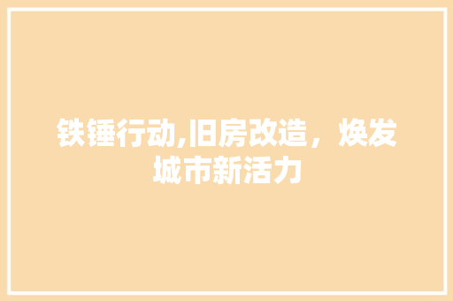 铁锤行动,旧房改造，焕发城市新活力