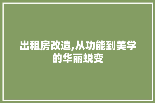 出租房改造,从功能到美学的华丽蜕变