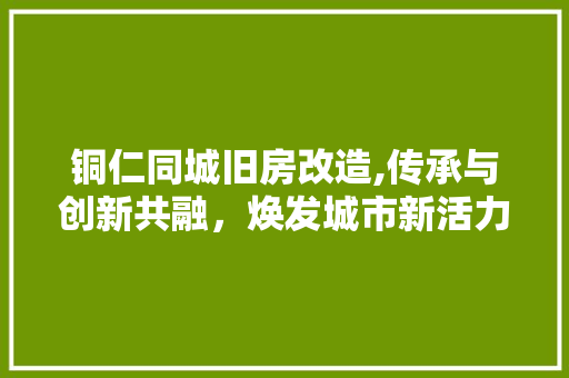 铜仁同城旧房改造,传承与创新共融，焕发城市新活力 景观设计