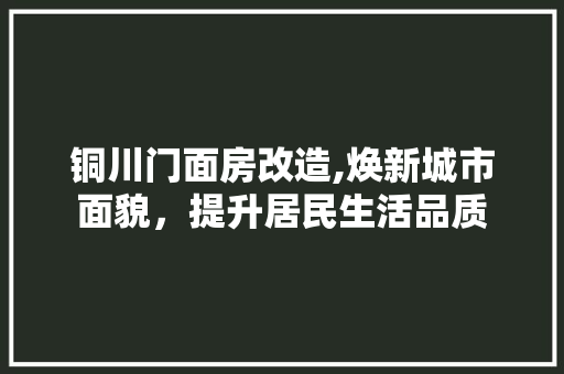 铜川门面房改造,焕新城市面貌，提升居民生活品质