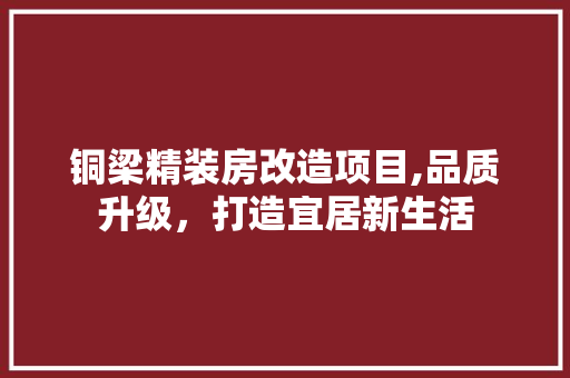 铜梁精装房改造项目,品质升级，打造宜居新生活