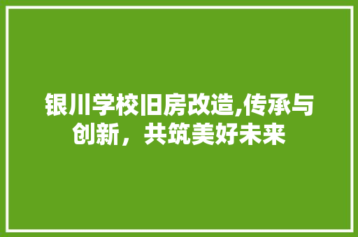 银川学校旧房改造,传承与创新，共筑美好未来 建筑设计