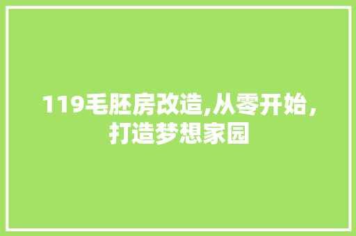 119毛胚房改造,从零开始，打造梦想家园 建筑设计