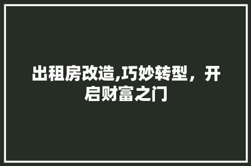 出租房改造,巧妙转型，开启财富之门