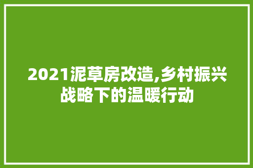 2021泥草房改造,乡村振兴战略下的温暖行动