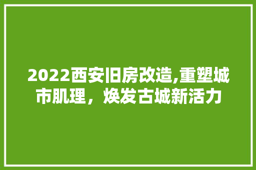 2022西安旧房改造,重塑城市肌理，焕发古城新活力