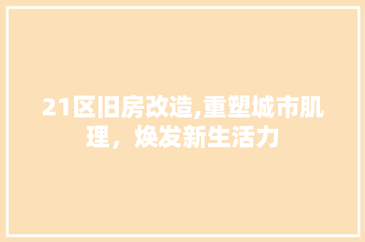 21区旧房改造,重塑城市肌理，焕发新生活力 地面装修