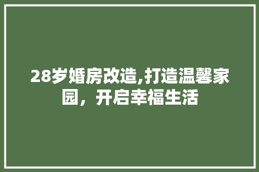 28岁婚房改造,打造温馨家园，开启幸福生活