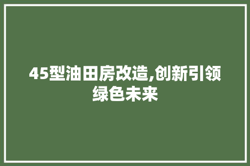 45型油田房改造,创新引领绿色未来 门窗装修