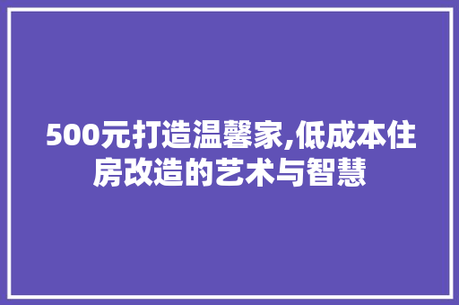500元打造温馨家,低成本住房改造的艺术与智慧 装修攻略