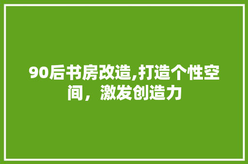 90后书房改造,打造个性空间，激发创造力