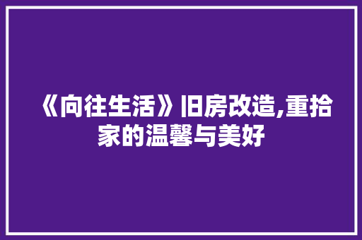 《向往生活》旧房改造,重拾家的温馨与美好 墙面装饰