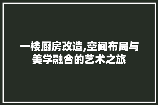 一楼厨房改造,空间布局与美学融合的艺术之旅