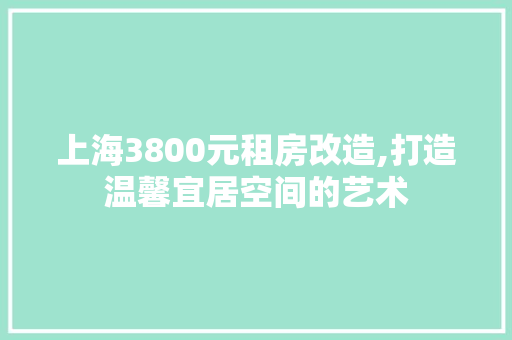上海3800元租房改造,打造温馨宜居空间的艺术 装修材料