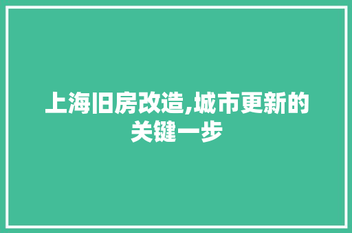 上海旧房改造,城市更新的关键一步