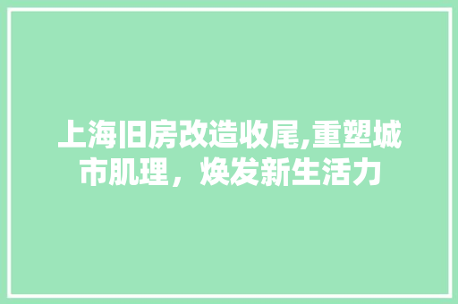 上海旧房改造收尾,重塑城市肌理，焕发新生活力 隔断设计