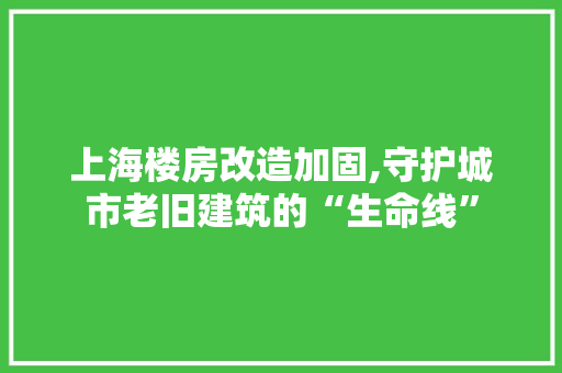 上海楼房改造加固,守护城市老旧建筑的“生命线” 地面装修