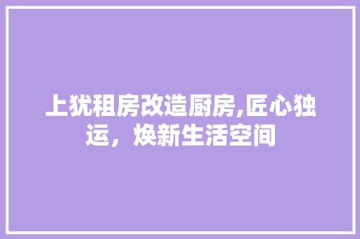 上犹租房改造厨房,匠心独运，焕新生活空间