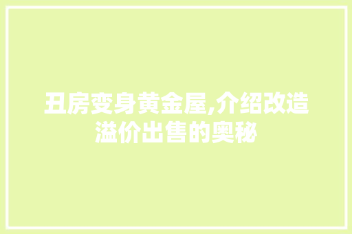 丑房变身黄金屋,介绍改造溢价出售的奥秘