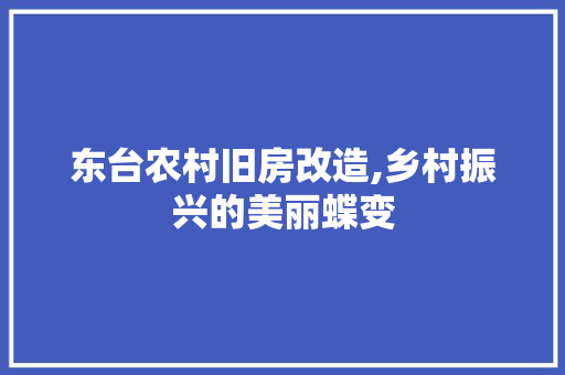 东台农村旧房改造,乡村振兴的美丽蝶变