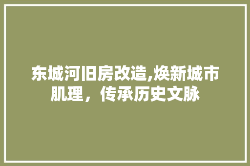 东城河旧房改造,焕新城市肌理，传承历史文脉 隔断设计