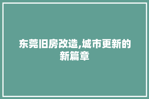 东莞旧房改造,城市更新的新篇章 隔断设计