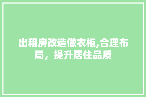出租房改造做衣柜,合理布局，提升居住品质