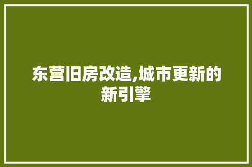 东营旧房改造,城市更新的新引擎