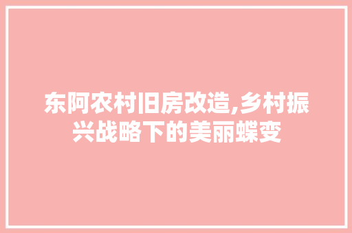 东阿农村旧房改造,乡村振兴战略下的美丽蝶变