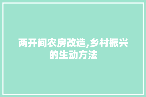 两开间农房改造,乡村振兴的生动方法