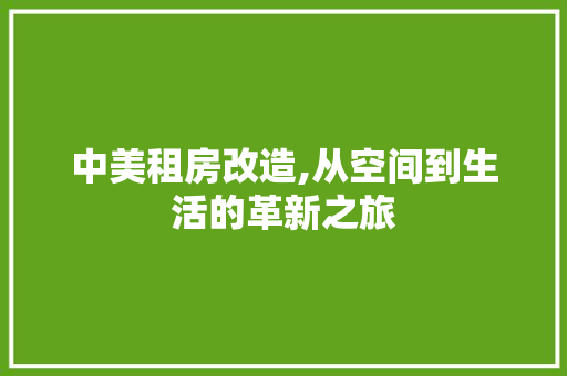 中美租房改造,从空间到生活的革新之旅 门窗装修 中美租房改造,从空间到生活的革新之旅 门窗装修