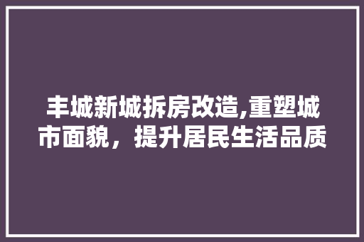 丰城新城拆房改造,重塑城市面貌，提升居民生活品质 景观设计