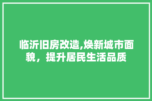 临沂旧房改造,焕新城市面貌，提升居民生活品质 装修材料