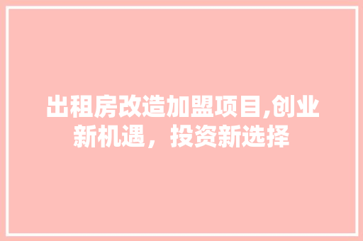出租房改造加盟项目,创业新机遇，投资新选择