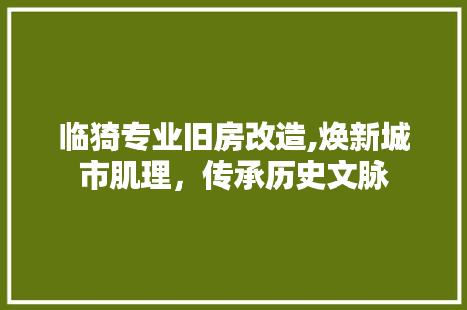 临猗专业旧房改造,焕新城市肌理，传承历史文脉