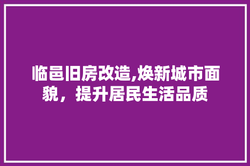 临邑旧房改造,焕新城市面貌，提升居民生活品质 墙面装饰