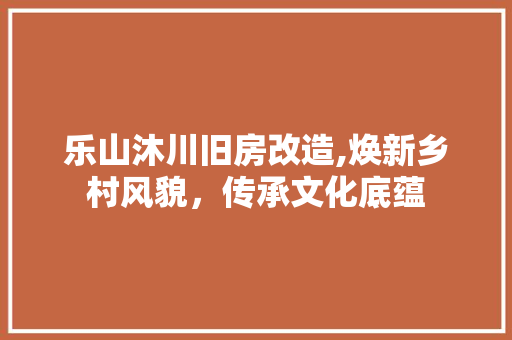 乐山沐川旧房改造,焕新乡村风貌，传承文化底蕴 景观设计