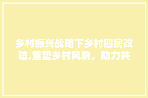 乡村振兴战略下乡村四房改造,重塑乡村风貌，助力共同富裕