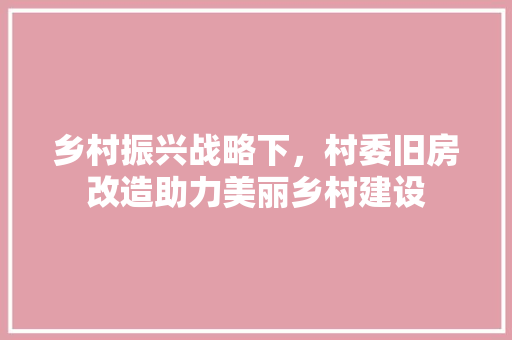 乡村振兴战略下，村委旧房改造助力美丽乡村建设 庭院装修