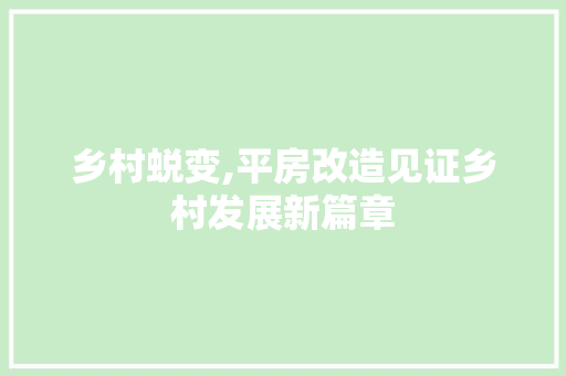 乡村蜕变,平房改造见证乡村发展新篇章
