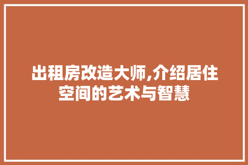 出租房改造大师,介绍居住空间的艺术与智慧