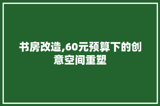 书房改造,60元预算下的创意空间重塑 隔断设计