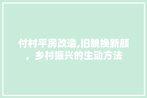 付村平房改造,旧貌换新颜，乡村振兴的生动方法 地面装修